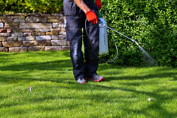 Trusted Belle Meade, TN Pest Control Experts